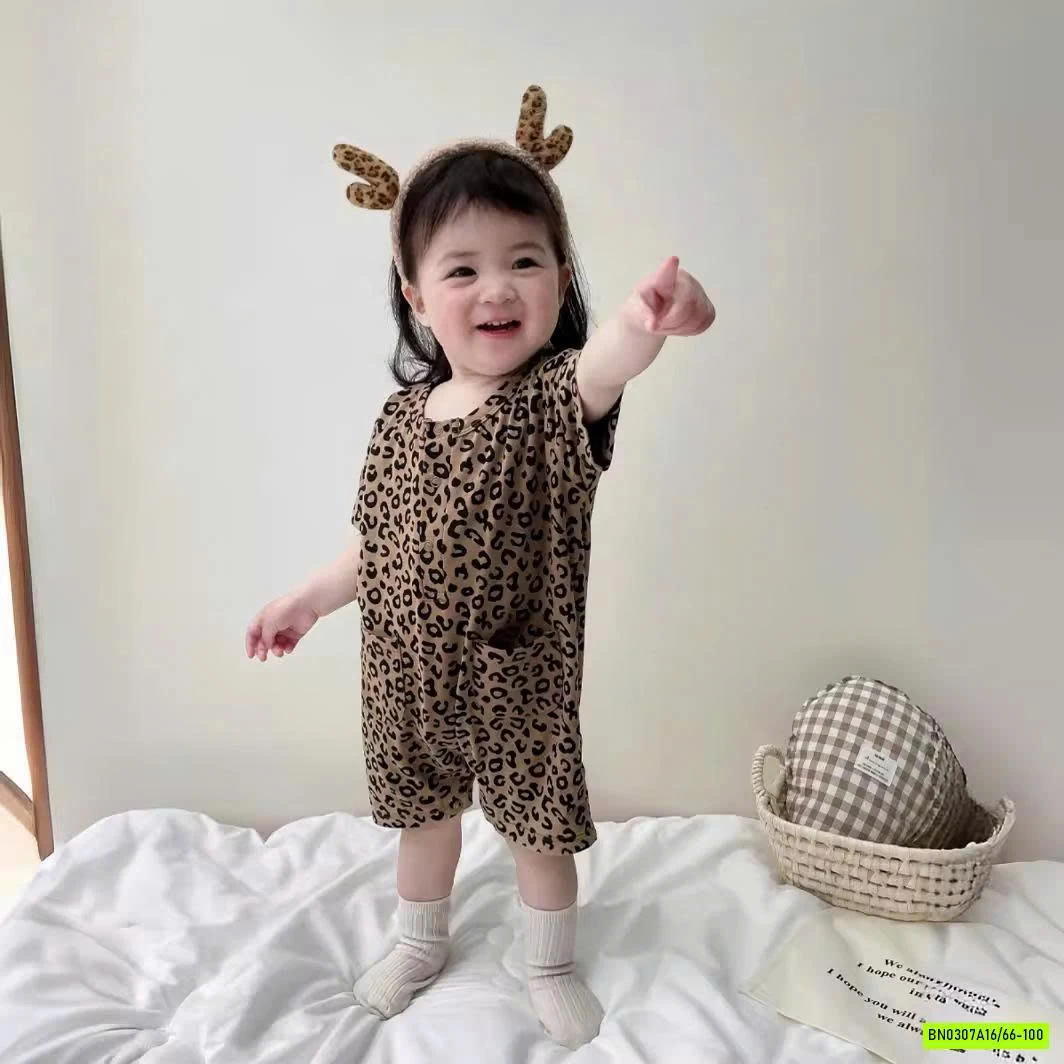 BODY HỌA TIẾT BÁO