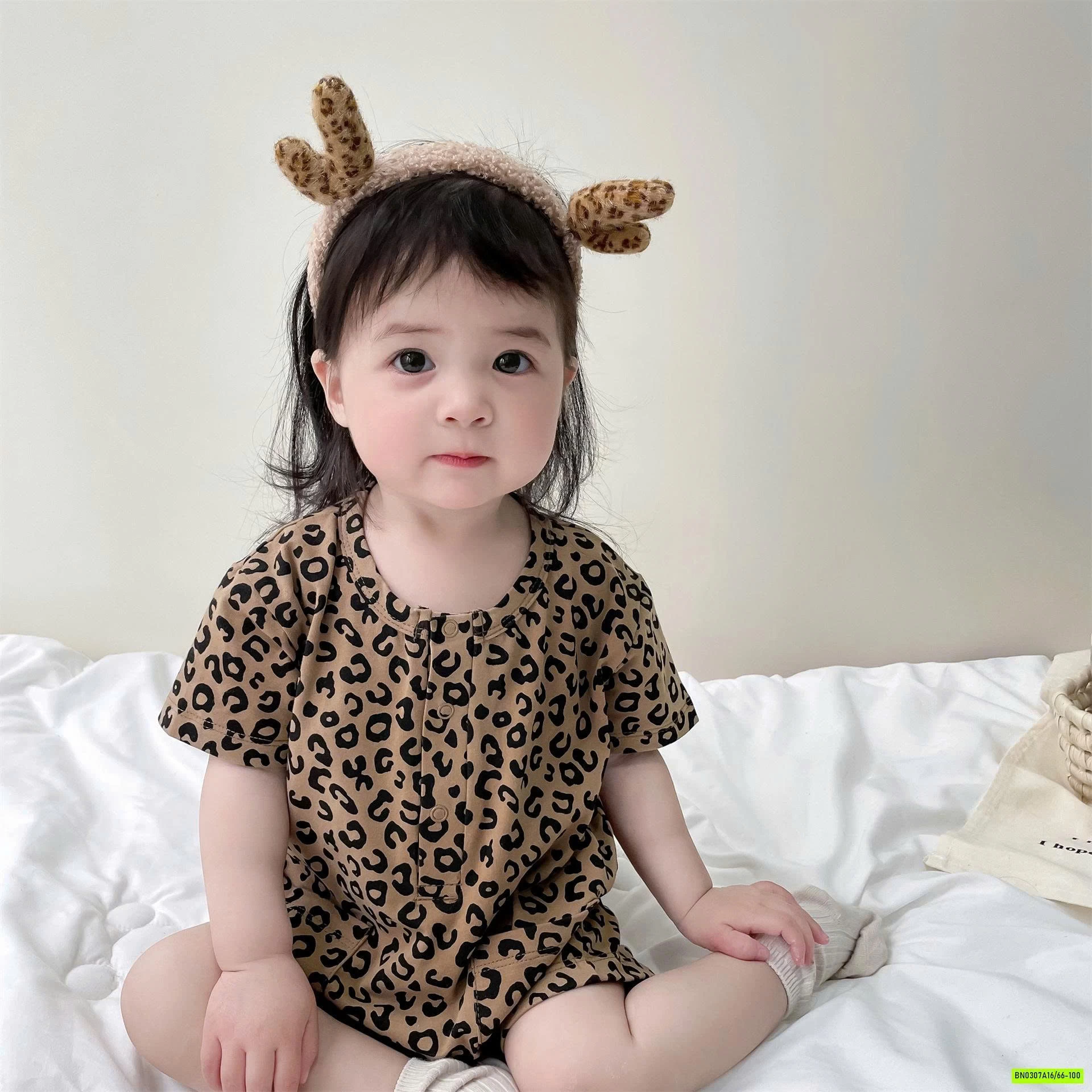 BODY HỌA TIẾT BÁO