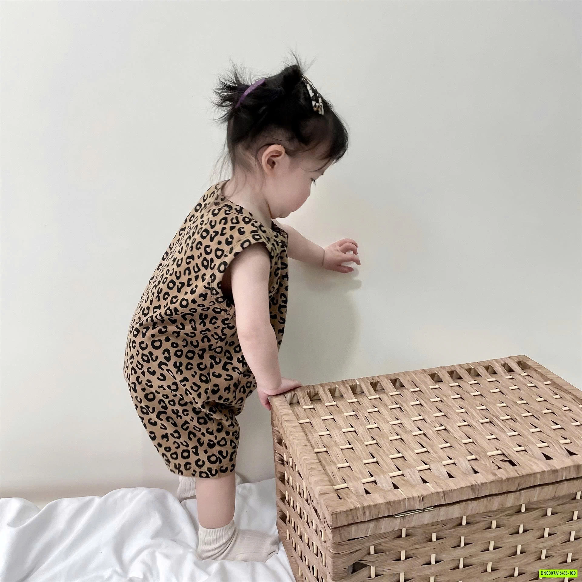 BODY HỌA TIẾT BÁO