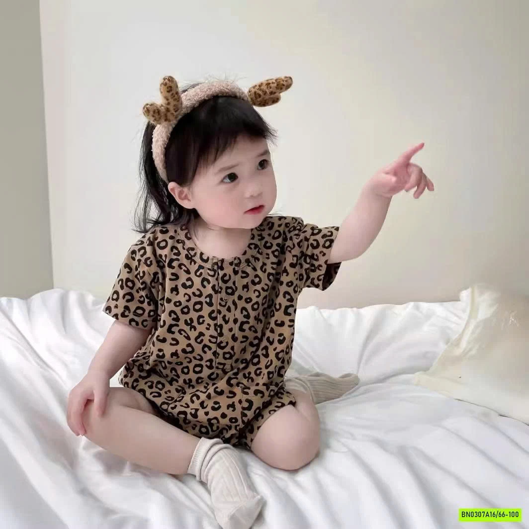 BODY HỌA TIẾT BÁO