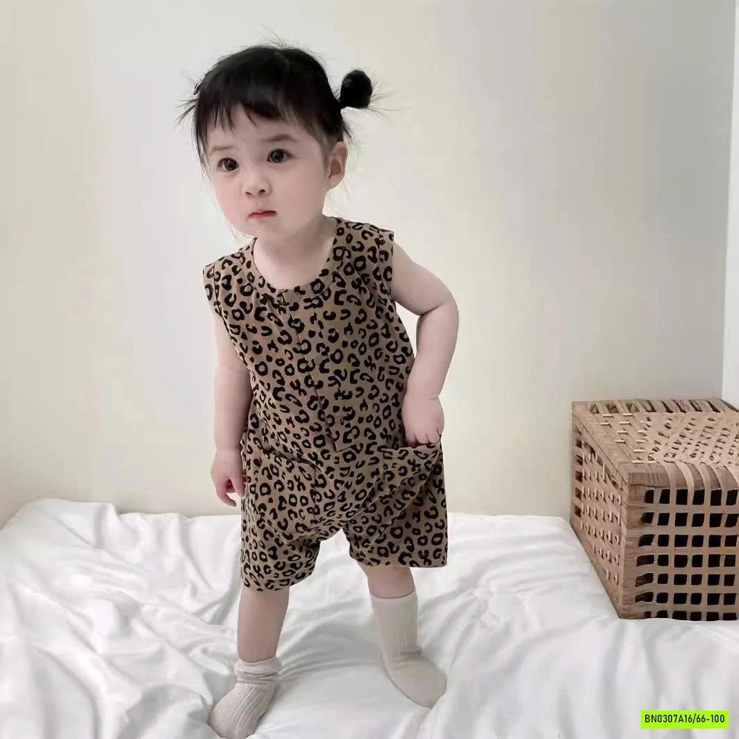 BODY HỌA TIẾT BÁO