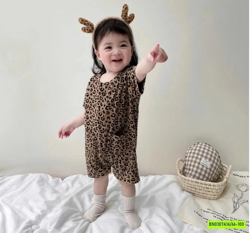 BODY HỌA TIẾT BÁO