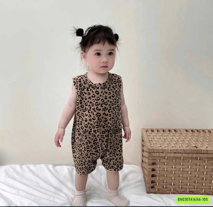 BODY HỌA TIẾT BÁO