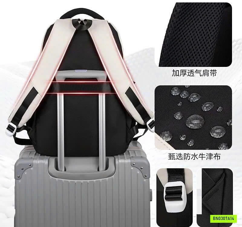 BALO HỌC SINH, SINH VIÊN BOBDOG