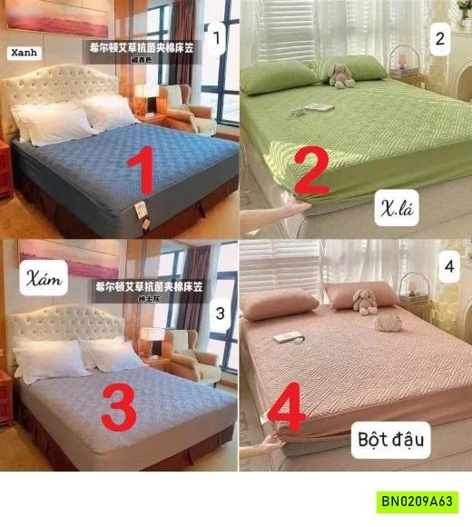 GA CHẦN BÔNG HILTON