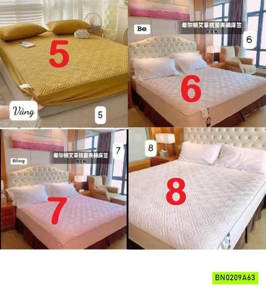 GA CHẦN BÔNG HILTON