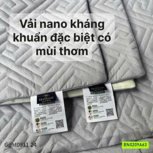 GA CHẦN BÔNG HILTON