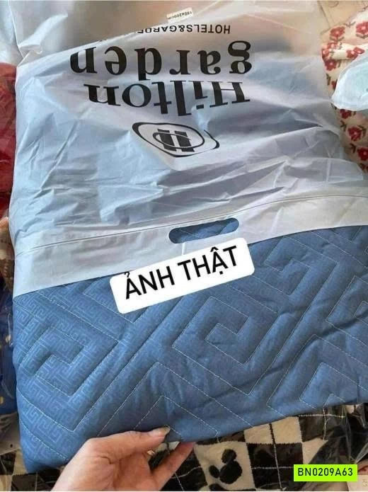 GA CHẦN BÔNG HILTON