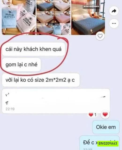 GA CHẦN BÔNG HILTON