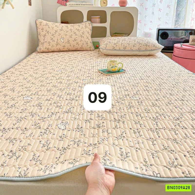 CHIẾU ĐIỀU HOÀ QCCC