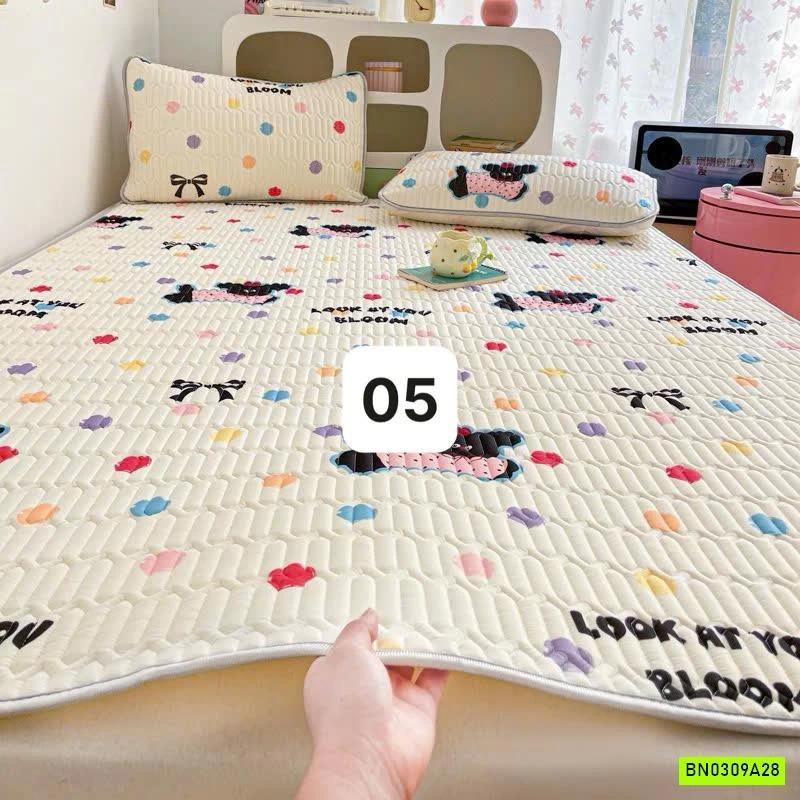 CHIẾU ĐIỀU HOÀ QCCC