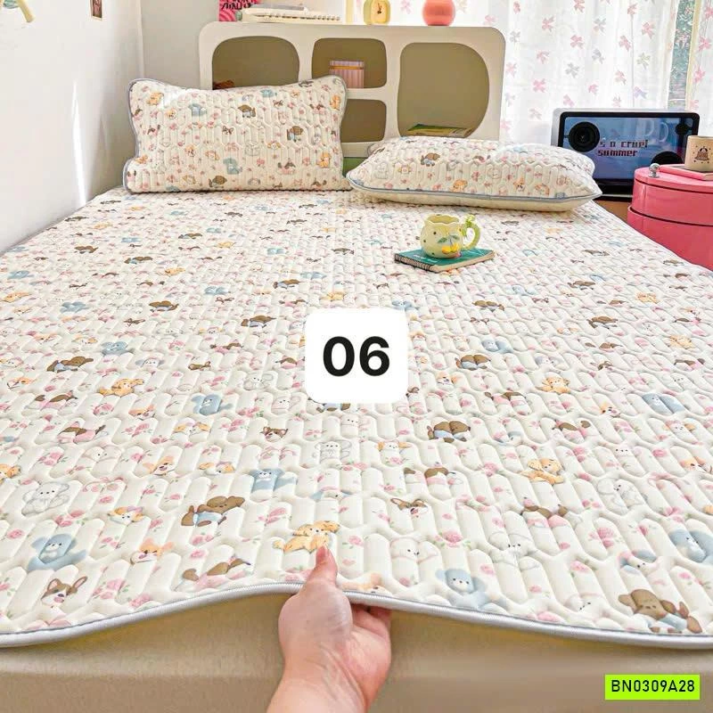 CHIẾU ĐIỀU HOÀ QCCC