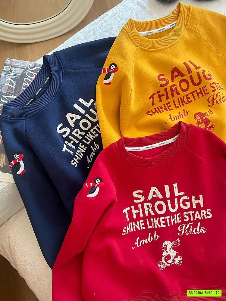 ÁO NỈ IN CHỮ 25F021 AMBB